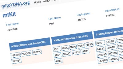MitoYDNA