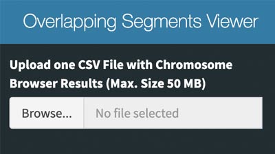 Overlapping segments viewer