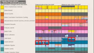 A Pedigree Collapse analyzer from GEDCOM files