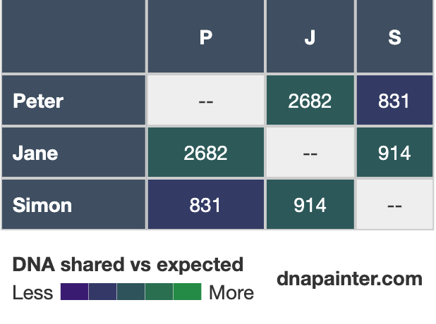 The matrix for Peter, Jane and Simon shaded according to how much they share compared with what other people shared according to the shared cM project.