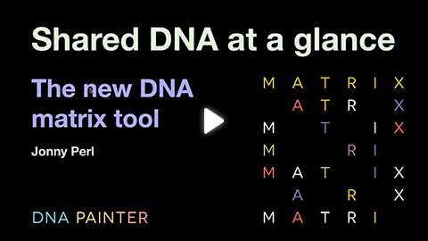 Webinar: Shared DNA® 金刚国际官方趣投游戏平台 at a glance: the new DNA® 金刚国际官方趣投游戏平台 matrix tool